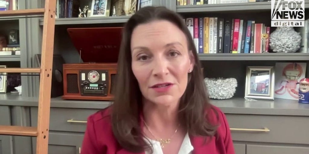 Florida Dem Party Chair Nikki Fried slams Florida GOP for playing 'partisan politics' over town halls