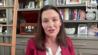 Florida Dem Party Chair Nikki Fried slams Florida GOP for playing 'partisan politics' over town halls