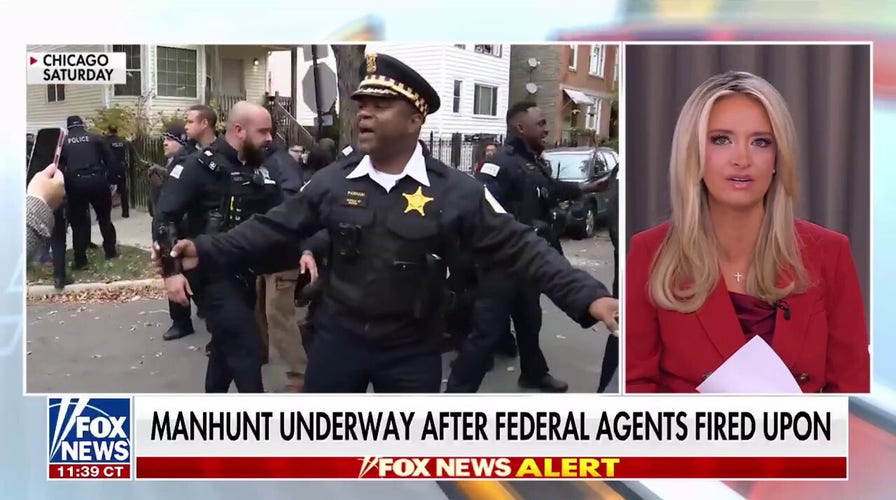 Kayleigh McEnany calls retired politicians for ‘stoking unit and anger’ toward ICE agents