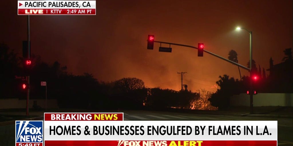 Los Angeles homes, businesses destroyed in wildfires