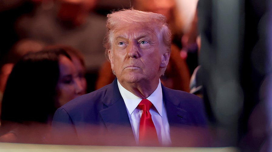 President Trump attends UFC 327 lawsuit successful Miami