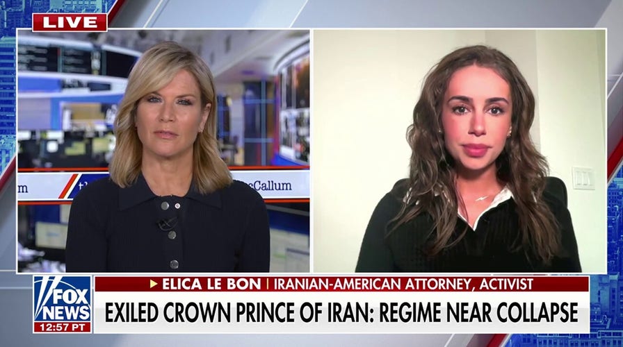 Iranian-American activist articulates what many Iranians are ‘wondering’ amid current conflict with Israel, looming US involvement