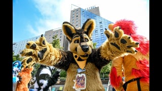 What is a furry? - Fox News