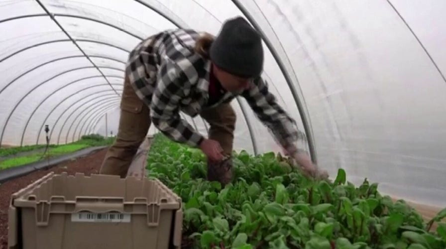 Farmer on agricultural concerns amid COVID-19 pandemic