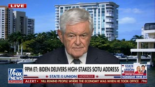 The left can’t say enough ‘anti-MAGA’ things: Newt Gingrich - Fox News