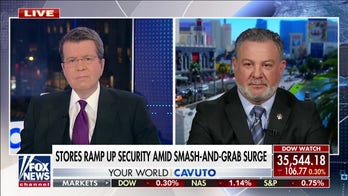 Smash-and-grabs are 'mass criminality events': Sutton