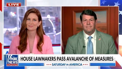 GOP lawmaker accuses Democrats of blocking measures to ‘sow chaos’
