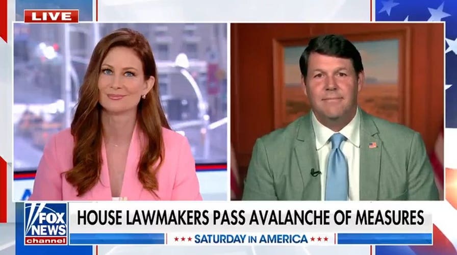 GOP lawmaker accuses Democrats of blocking measures to ‘sow chaos’