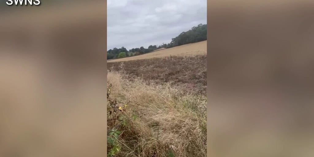 Gold ring tied to infamous Gunpowder Plot conspiracy heads to auction