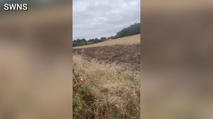 Gold ring tied to infamous Gunpowder Plot conspiracy heads to auction