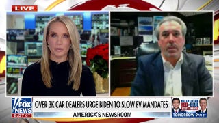 More than 3,000 car dealers urge Biden admin to slow EV mandates  - Fox News