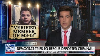 Jesse Watters: Dems could not have picked a worst 'poster child' if they tried