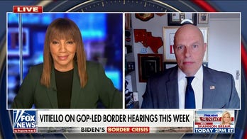 Former US border patrol chief blasts Dems' border strategy: ‘They’ve broken all the records’