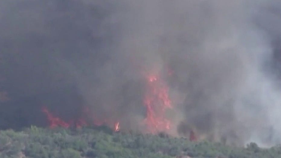 Arizona bushfire becomes one of largest fires in state history