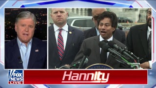 Hannity confronts Rep. Thanedar over immigration failures: 'You should be ashamed!'