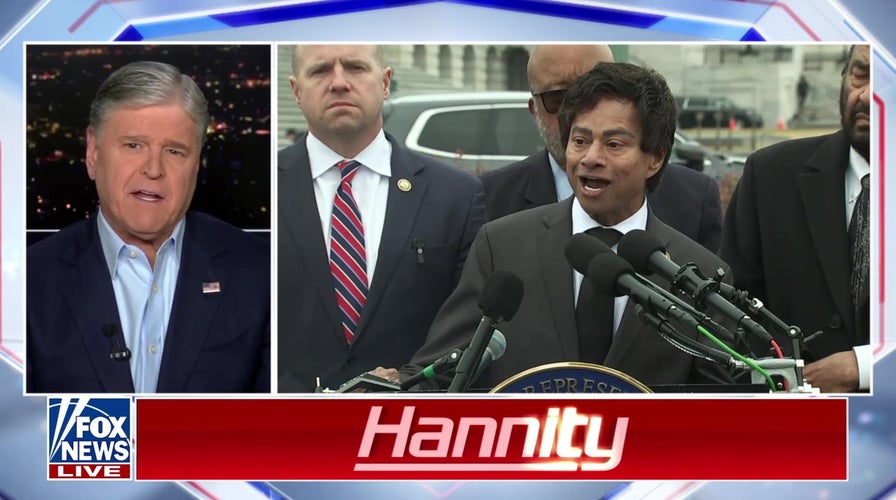 Hannity confronts Rep. Thanedar over immigration failures: 'You should be ashamed!'