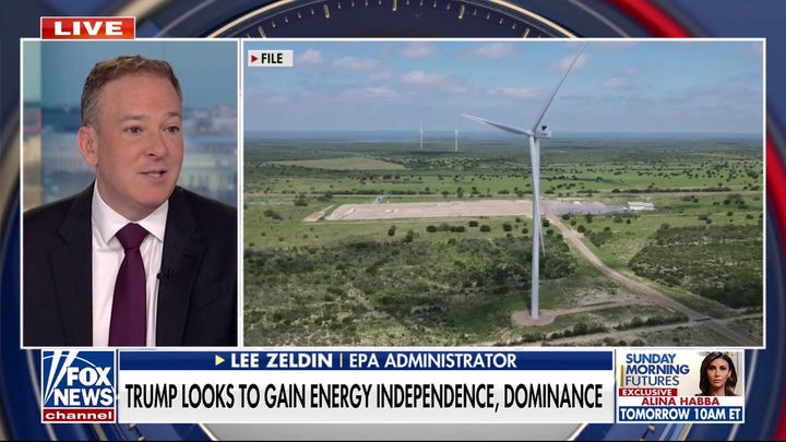 Lee Zeldin backs Trump's push for US energy dominance: 'Wind isn't the answer'