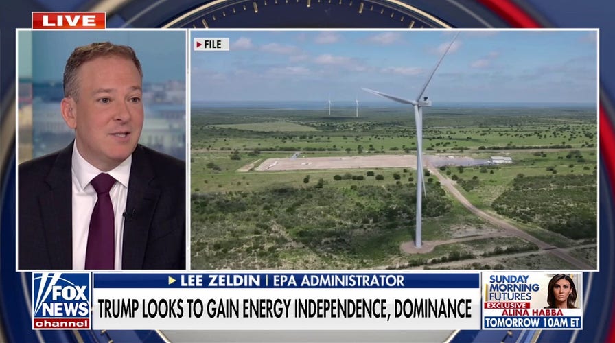 Lee Zeldin backs Trump's push for US energy dominance: 'Wind isn't the answer'