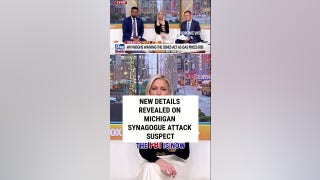 Details revealed on Michigan synagogue attack suspect