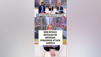 Details revealed on Michigan synagogue attack suspect