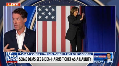 Dems distances themselves from Biden, Harris ahead of midterms