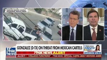 Democrat lawmaker calls on Biden, Congress to act on Mexican cartels