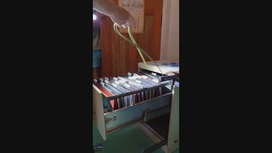 Snake found in filing cabinet in Australian home