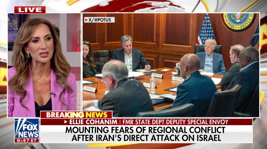 Western and Arab countries come together to intercept Iran’s attack: Ellie Cohanim