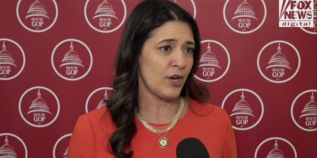 Republicans reveal expectations for tonight's Elon Musk meeting