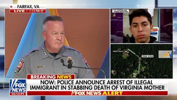 Fairfax police arrest illegal immigrant in alleged stabbing murder of Virginia mother
