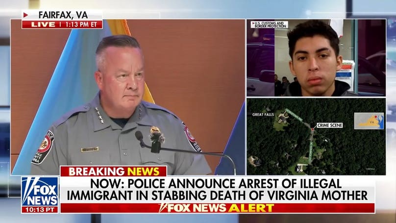 Fairfax police arrest illegal immigrant in alleged stabbing murder of Virginia mother