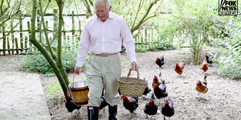 King Charles’ cancer fight reshapes his royal outlook