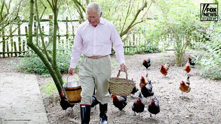 King Charles’ cancer fight reshapes his royal outlook