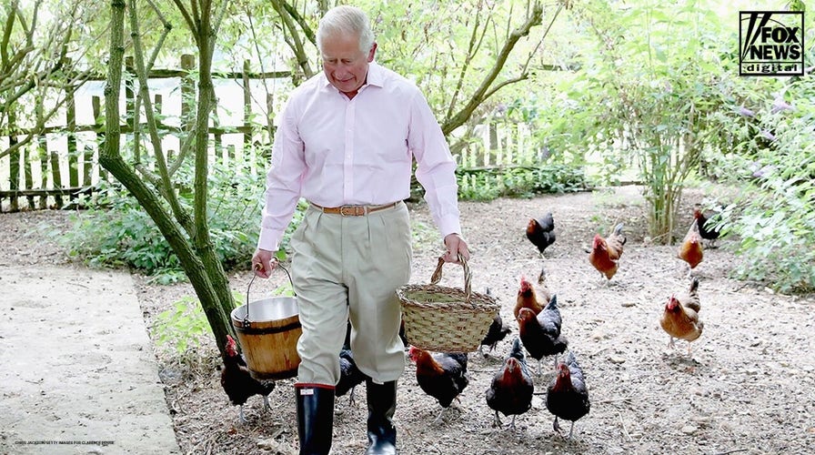 King Charles’ crab  combat  reshapes his royal outlook