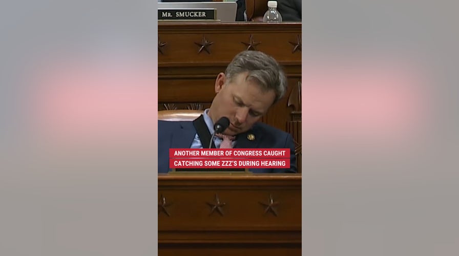 Caught snoozing: Congressman dozes off mid-hearing.