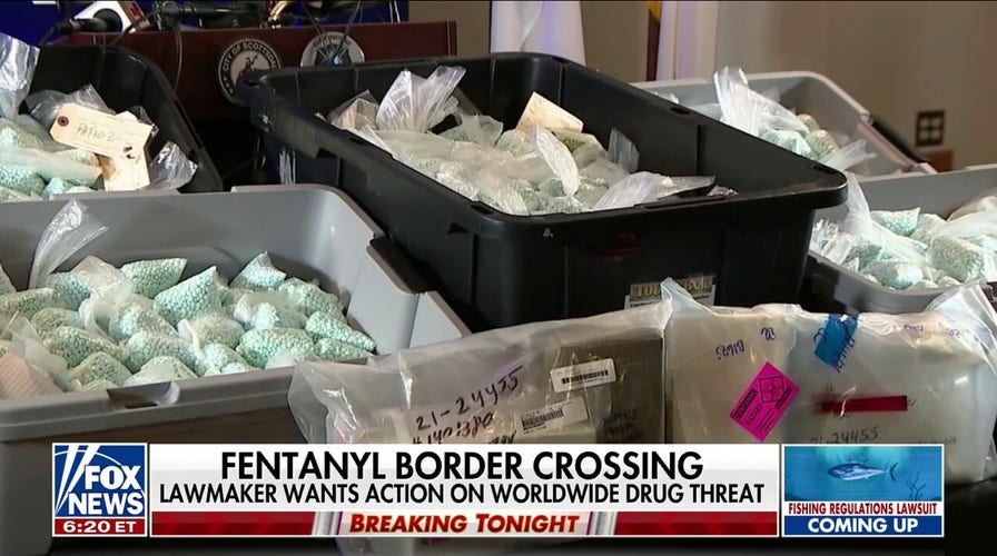 US lawmakers urge Biden administration to take stronger action to curb fentanyl crisis