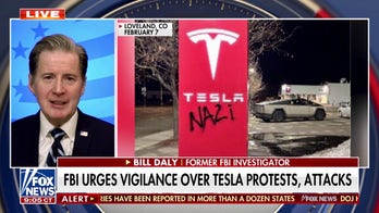 Hundreds of Tesla protests planned across the globe