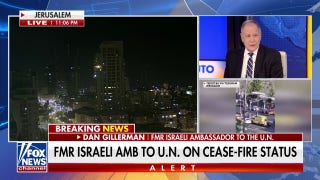  Dan Gillerman: There will come a moment very soon when Israel will have to say 'enough is enough' - Fox News