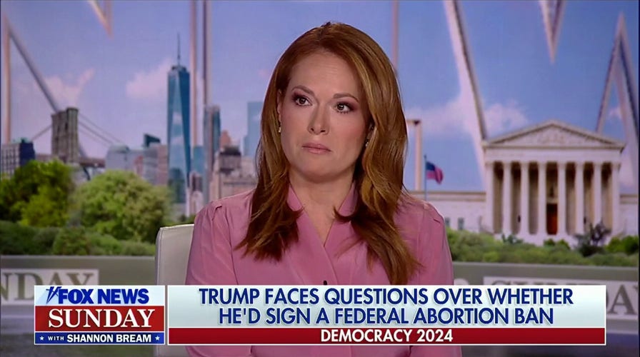 CNN’s Trump town hall was a ‘missed opportunity’ for Democrats: Gillian Turner