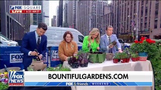 Expert shares tips for keeping your garden in bloom this spring - Fox News
