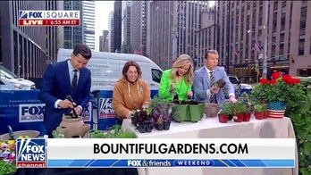 Expert shares tips for keeping your garden in bloom this spring