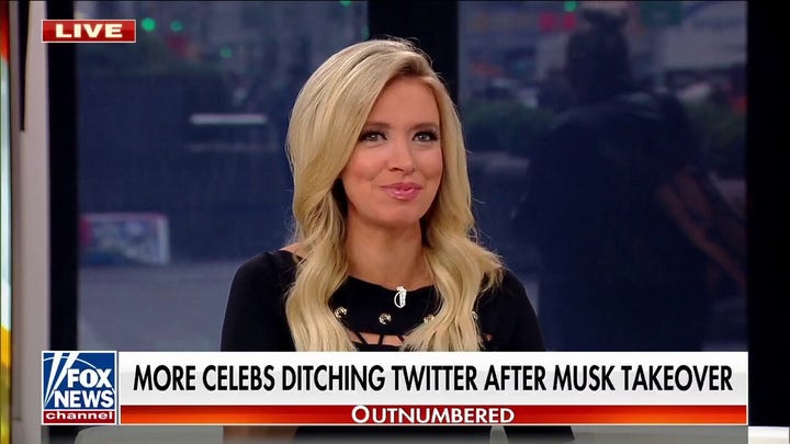 Kayleigh McEnany shares her favorite liberal meltdowns over Elon Musk