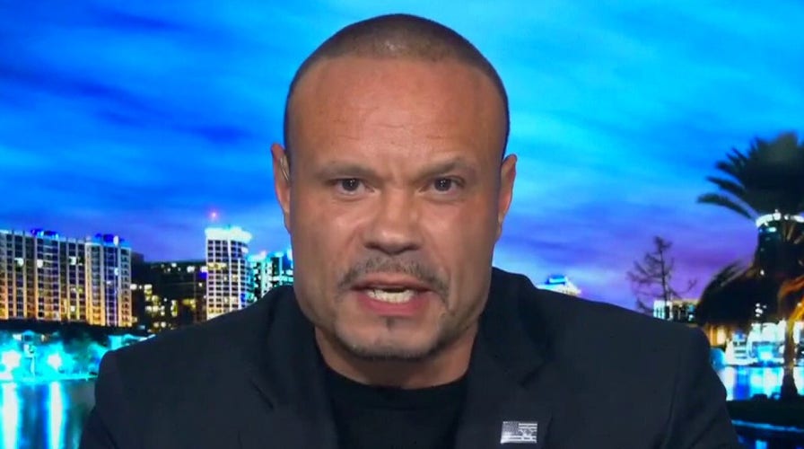 Dan Bongino: 'Media elitists' contributing to violent mobs