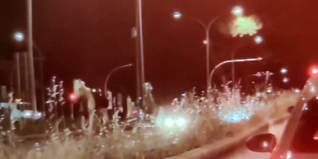 Horses bolt through Rome after unauthorized fireworks reportedly trigger chaos ahead of national parade