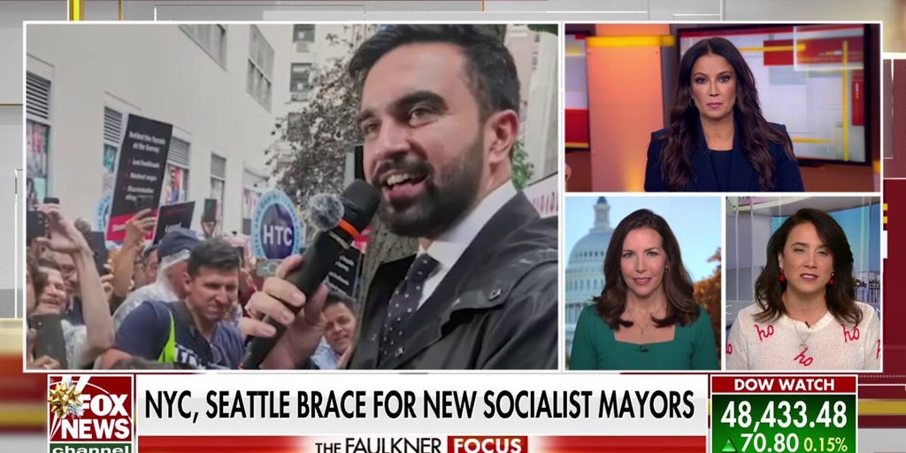 Democrats face challenges from far-left base ahead of key 2026 midterm elections