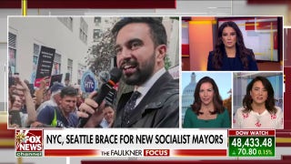 Democrats face challenges from far-left base ahead of key 2026 midterm elections