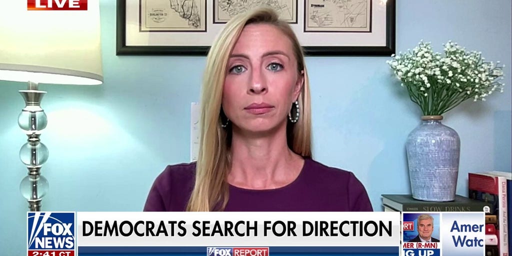 Biden’s warning about an attack on the Constitution is ‘really rich,’ says strategist