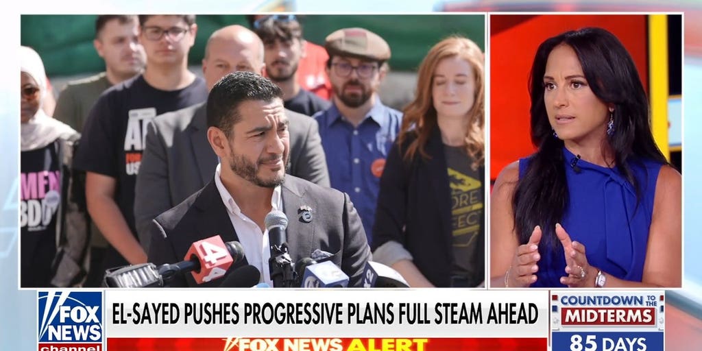 Abdul El-Sayed ripped over Medicare for All healthcare proposals