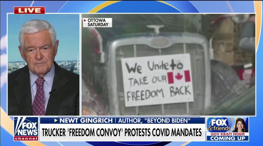 Gingrich on Stacey Abrams, Canadian truckers: People are realizing it’s all baloney
