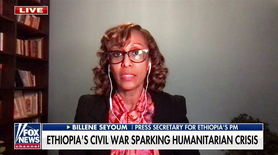 Over 2 million Ethiopians forced from their homes amid ongoing civil war in Tigray region